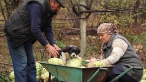 Украинский Борщ в Казане 🌿