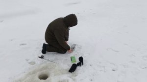 VID_20260124_102756_844