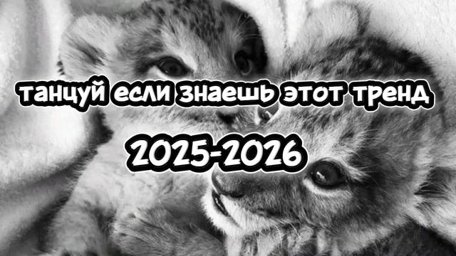Танцуй если знаешь этот тренд 2025-2026 года смотреть онлайн
