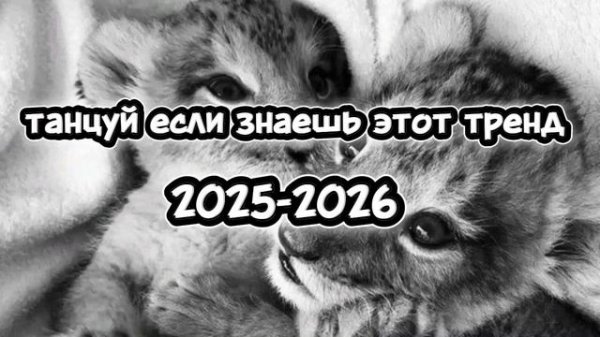 Танцуй если знаешь этот тренд 2025-2026 года