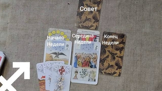 СТРЕЛЕЦ ♐ Таро-прогноз на неделю с 26 января по 1 февраля смотреть онлайн