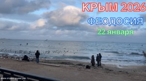 КРЫМ 2026 | ПРОГУЛКА ПО ФЕОДОСИИ | 22 января ❤️🌊⛰️🏖️☀️🐬