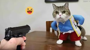 СМЕШНО ДО СЛЕЗ Приколы_с_котами и кошками!Смешные_коты!_Самые_смешные_животные!