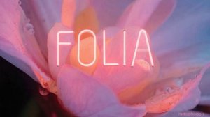 Folia Radiophonica - chapter 38