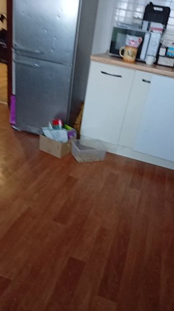 новые хомячта 2