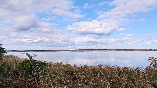 Новый проект природа смотреть онлайн