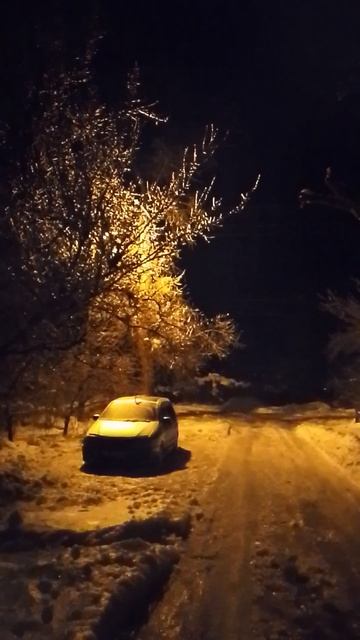 1000004816.mp4 смотреть онлайн