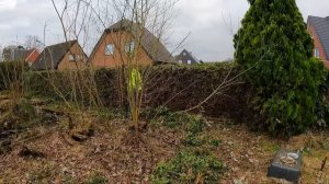 Заросший двор ПОЛУЧАЕТ ВТОРОЙ ШАНС