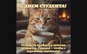 Как мы узнали о традициях в день студента?