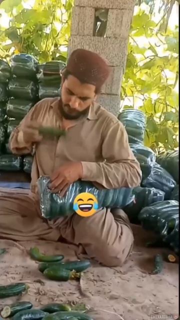 как старается смотреть онлайн