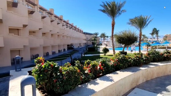 Pyramisa Beach Resort Sahl Hasheesh 5*Хургада.Прогулка по территории,ужин.Январь 2026