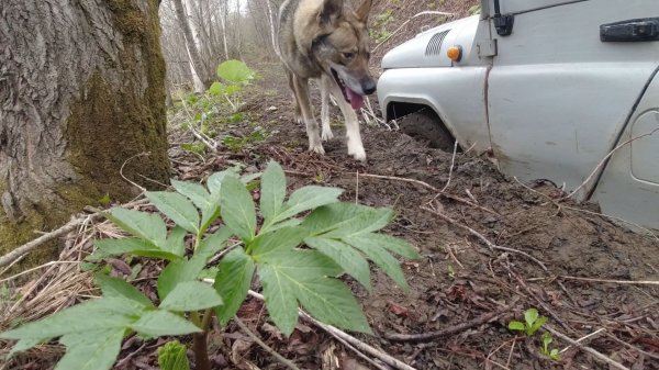 Ещё одно труднодоступное место с металлом
