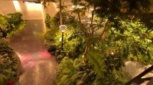 Перелет Москва-Доха