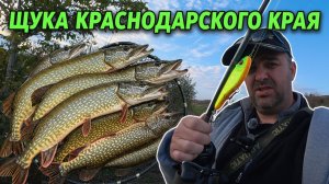 Щука Краснодарского края: почему джерки лучше воблеров? Реальный опыт и улов