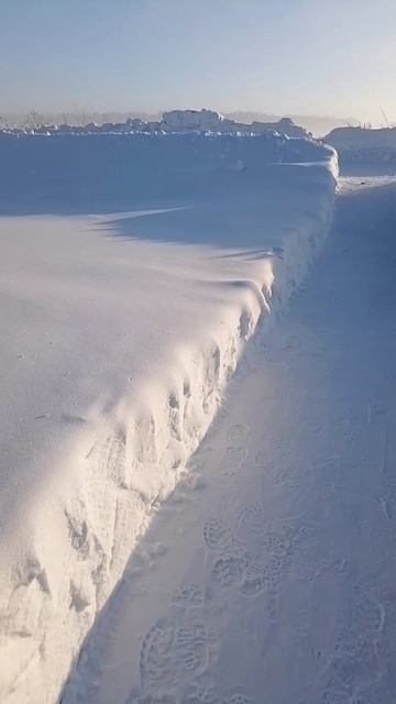 - 38 мороза, гуси с утками гркюеються под инфракрасной лампой.