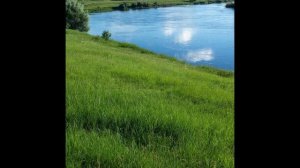 Зелёный мир. Новинка музыки 2026