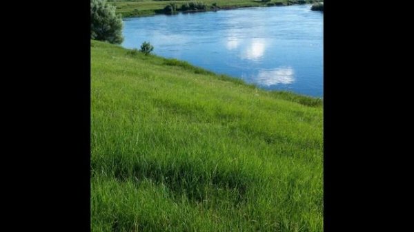 Зелёный мир. Новинка музыки 2026