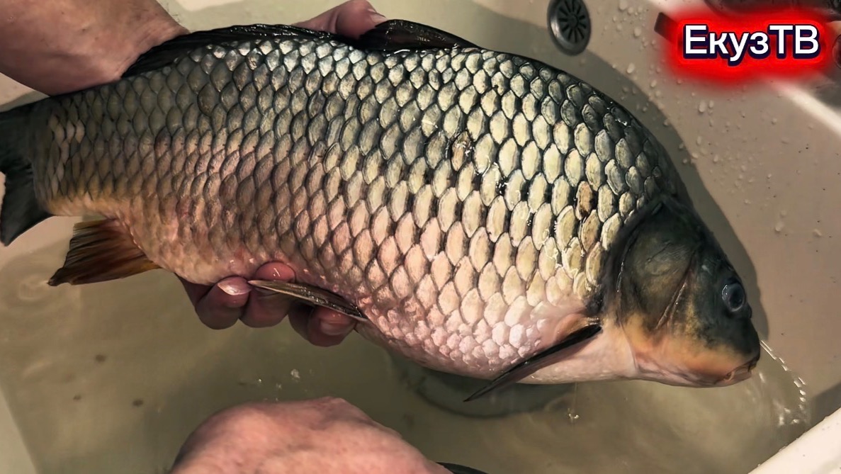 Выживание на такую Зарплату! смотреть онлайн