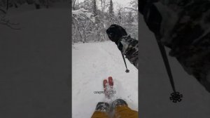 Фрирайд по русскому лесу, который лучше японского леса. Лыжи и сноуборд в Сибири.