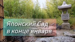 Краснодар. Японский Сад в конце января✅