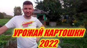 Урожайные 4 сорта картофеля. Какой получился результат. Какой сорт лучше?