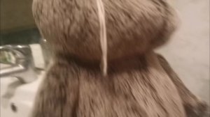 Утро  с  Басиками