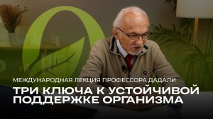 ✨ Формируем три ключевых понимания устойчивой поддержки организма