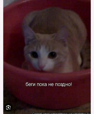 прите я играб. в стендойй