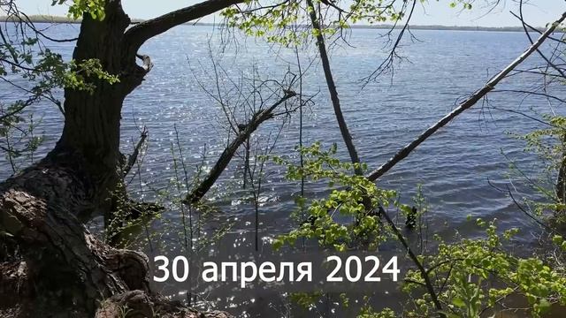 Восстанавливаю каменный дом - мечта длиною в год. Заброшенный уют 1 серия смотреть онлайн