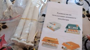 ОТКРЫВАЕМ СВОЙ БИЗНЕС, ТАК РЕШИЛИ