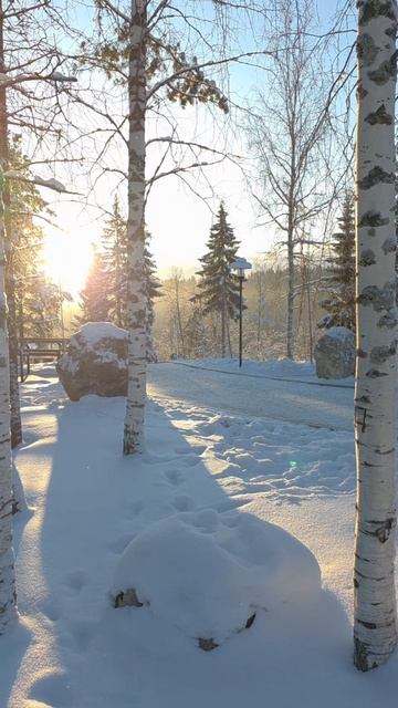 Прекрасная Карелия 🔥😍🌨️