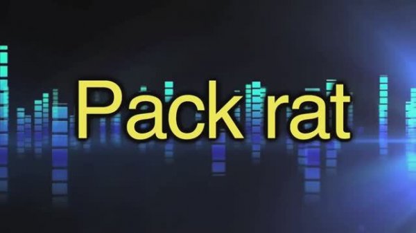 pack rat