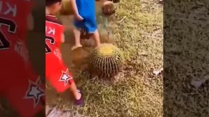 Лучший друг, это когда вот так