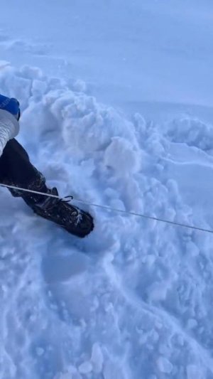 Все счастливы