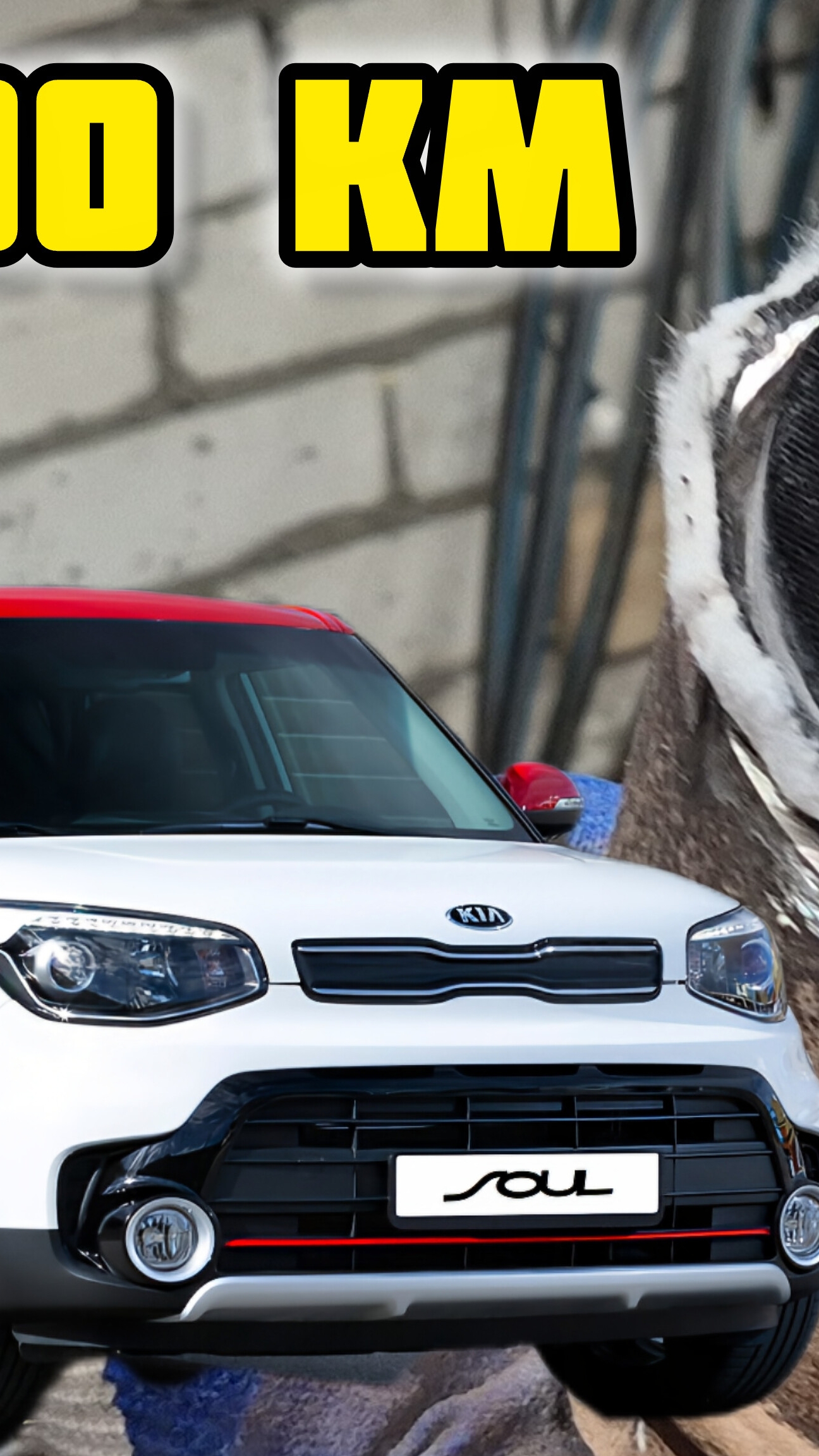 Киа Соул состояние катализатора на 80 000 км #катализатор #удалениекатализатора #киа #киасоул #евро2 смотреть онлайн