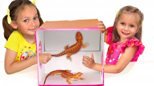 Что в коробке | Детская песенка с Майей и Машей+Детские веселые сборники