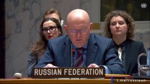 🇷🇺🇺🇳 Выступление В.А.Небензи на заседании Совета Безопасности ООН по Колумбии