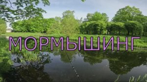 МОРМЫШИНГ НА ПРУДУ🔥 #спиннинг
