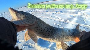 Зимняя рыбалка на р. Амур. с. Сикачи Алян, Хабаровский район