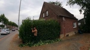 Каждый раз ПРОЕЗЖАЛ мимо этого ЗАПУЩЕННОГО двора, пока не ПОСТУЧАЛ в ДВЕРЬ