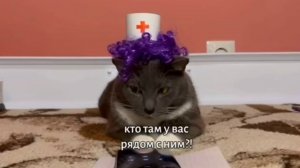 Kotiynet 3 серия 1 сезон. Охранник хаги ваги.