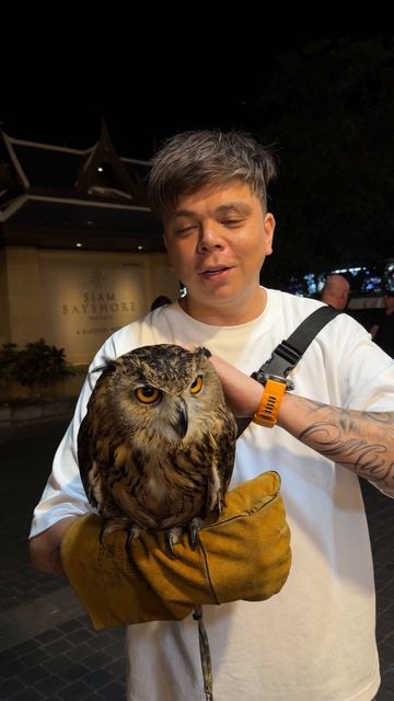 А вы сова или жаворонок ? смотреть онлайн