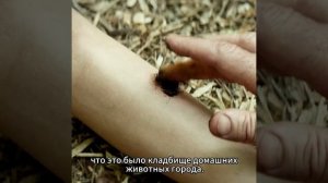 Краткий пересказ фильма