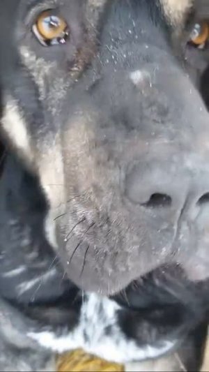 MOV_20260123_095621_964.mp4