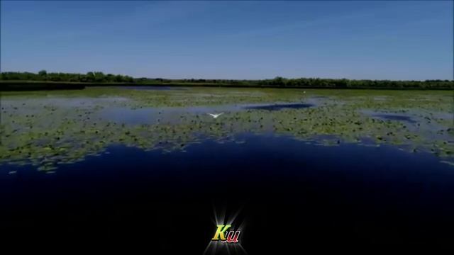 Звучала музыка и таяла душа / The music sounded and the soul melted смотреть онлайн