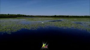 Звучала музыка и таяла душа / The music sounded and the soul melted