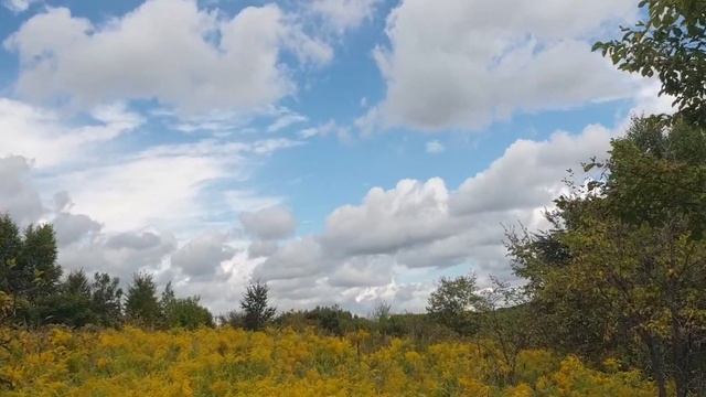 ВДЫХАЯ ЛЕТНИЙ АРОМАТ смотреть онлайн