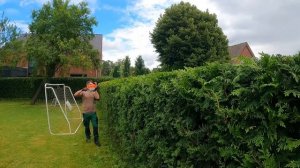 Делаю эту работу КАЖДЫЙ ГОД, и каждый раз Клиент ДОВОЛЕН