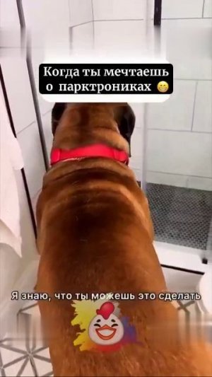 Сабака с парктрониксом