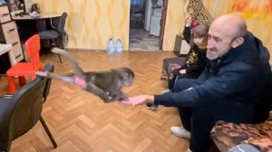 Люська ОХОТИТСЯ за леденцом Ангелины и показывает ЧУДЕСА АКРОБАТИКИ)))